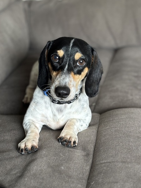 Wilson