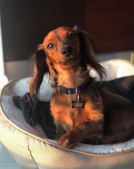 Entry image for Charlie. Clicking this image will show a larger photo
