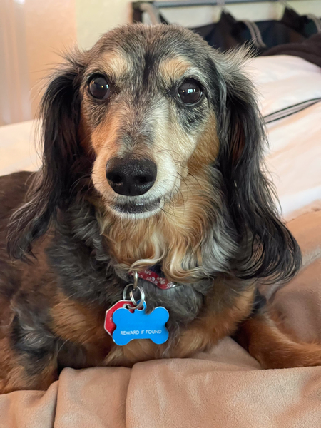Entry image for Miss Sophie. Clicking this image will show a larger photo