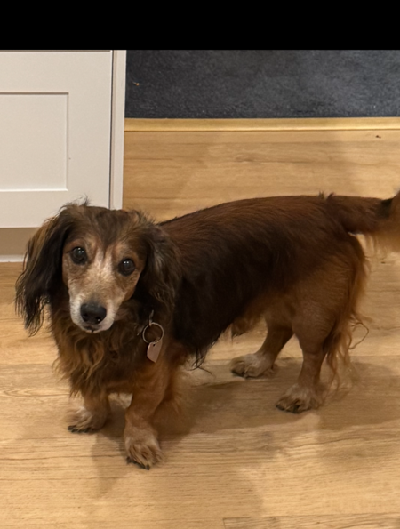 Entry image for Jake. Clicking this image will show a larger photo