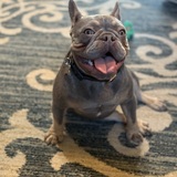 Entry image for Henry