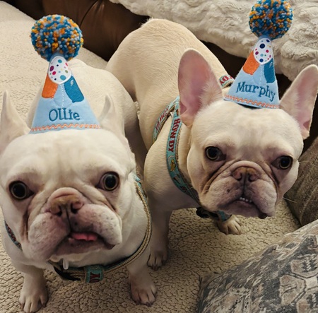 Murphy & Ollie