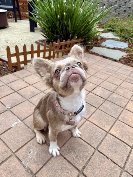 Entry image for Paris . Clicking this image will show a larger photo