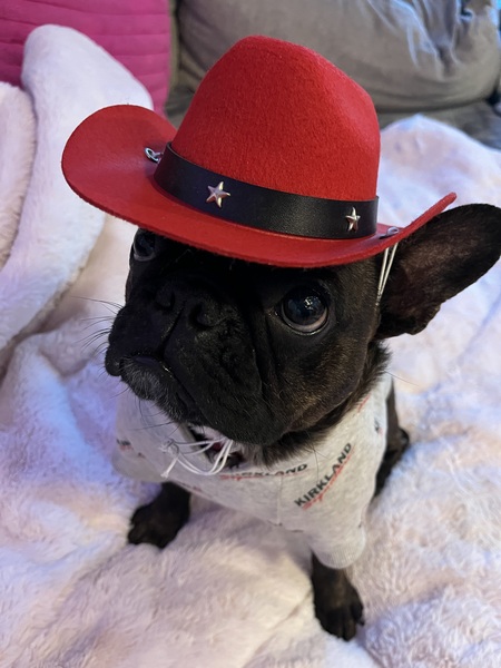 Entry image for Dot. Clicking this image will show a larger photo