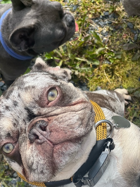 Entry image for Kofi. Clicking this image will show a larger photo