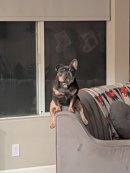 Entry image for Tula. Clicking this image will show a larger photo