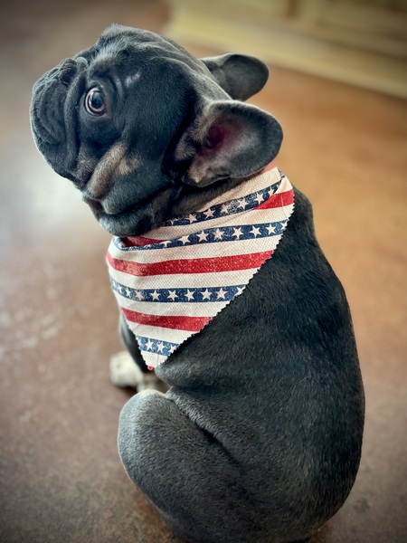 Entry image for Banks. Clicking this image will show a larger photo