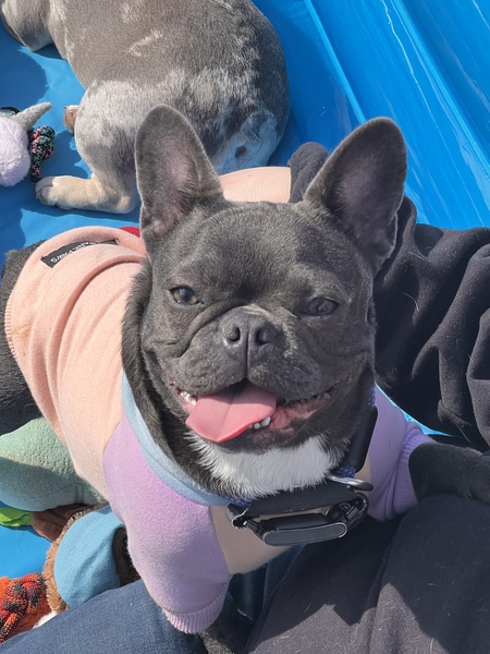 Entry image for Smith. Clicking this image will show a larger photo