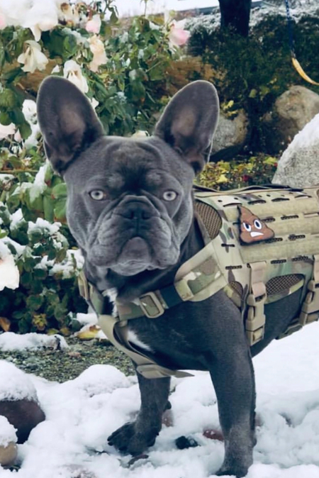 Entry image for Cash. Clicking this image will show a larger photo