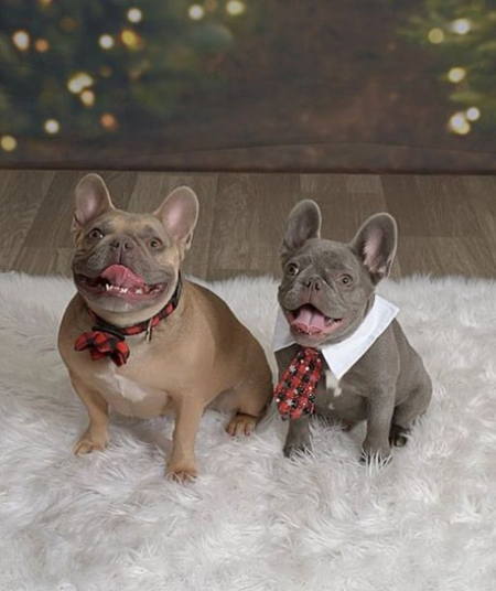 Moose and Maisy