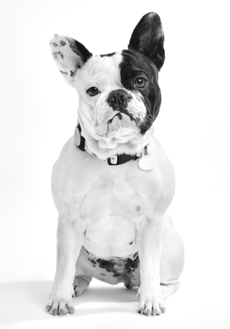 Nala