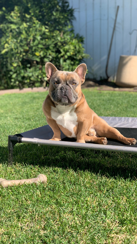 Milo