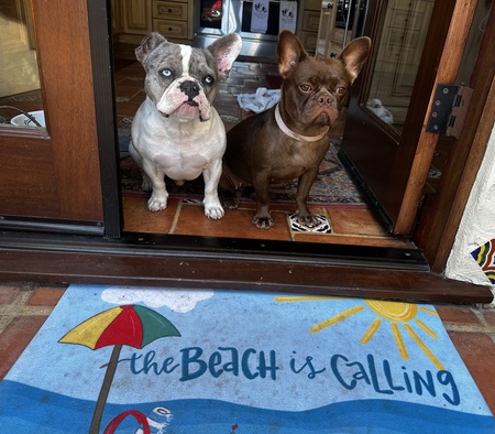 Entry image for Chubz & Savannah Jane. Clicking this image will show a larger photo