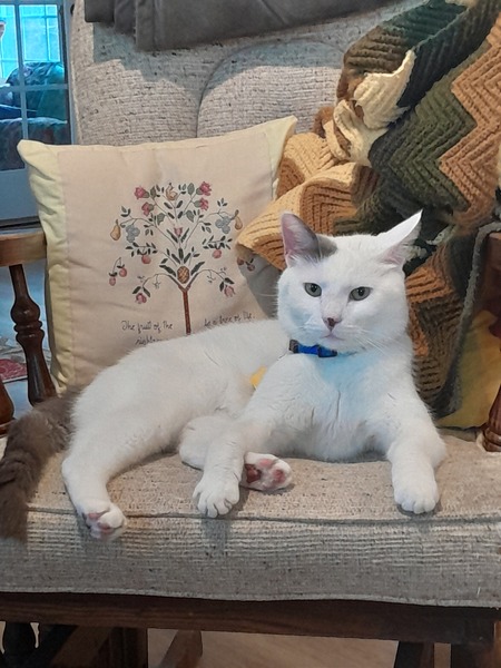Smudge