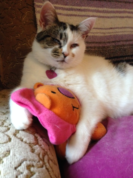 Amy
