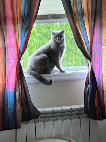 Coco