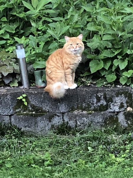 Walter