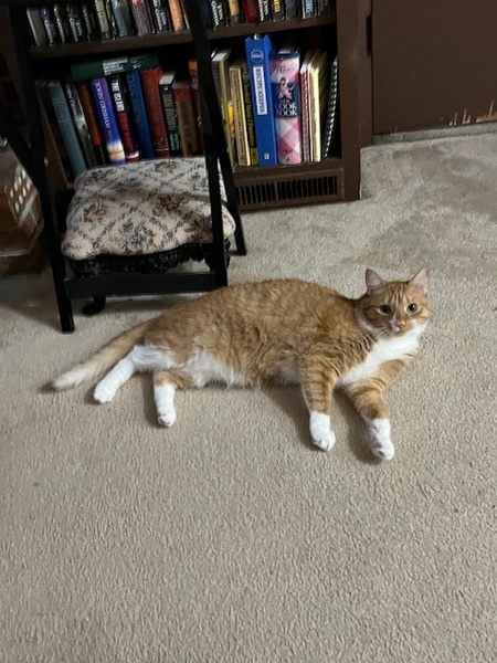 King Cormac MacArt