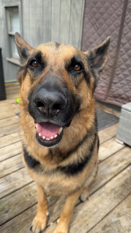 Odin
