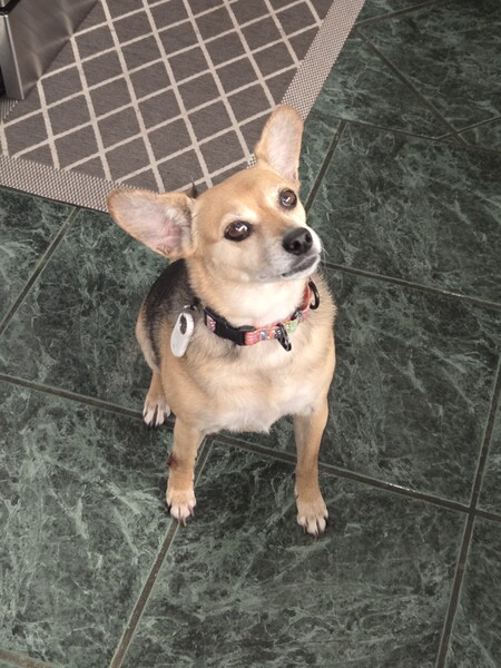 Juno