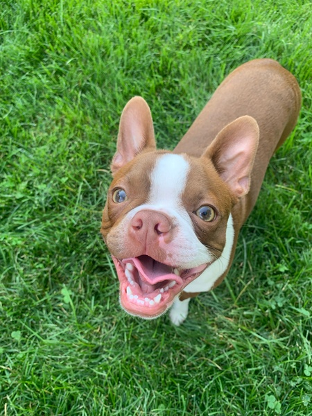 Oakley