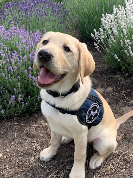 Entry image for Rainbow. Clicking this image will show a larger photo