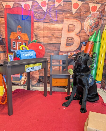 Entry image for Finn—“Back to School”. Clicking this image will show a larger photo