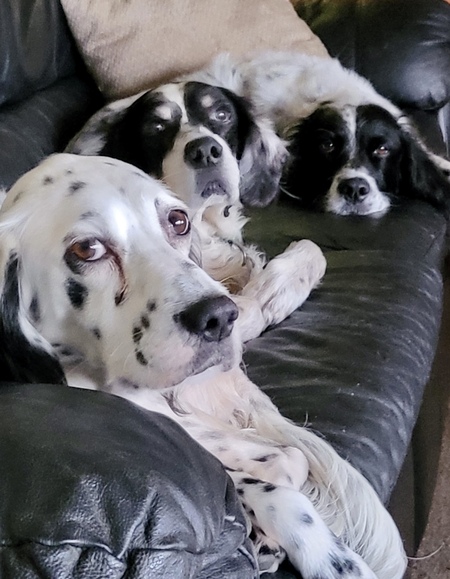Keeper, Bud and Piper Edington