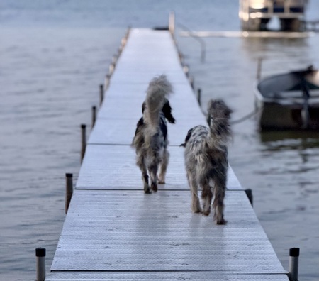 Daisy and Derby