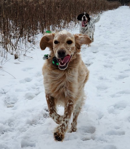 Evie and Bear
