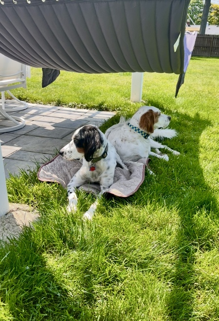 Vello and Greyson 