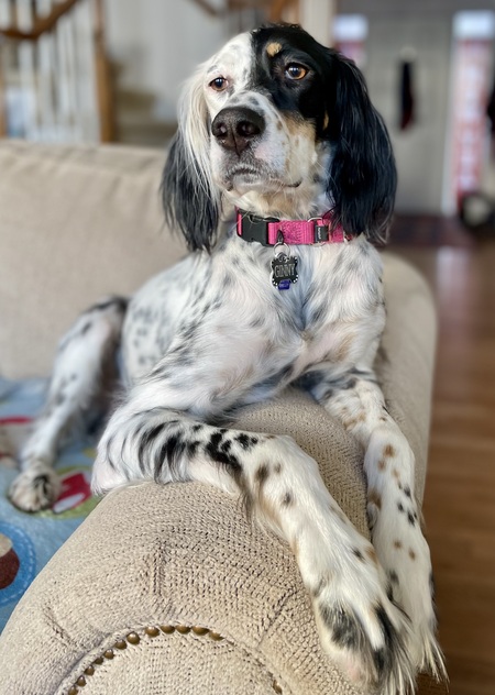 Ginny Penny