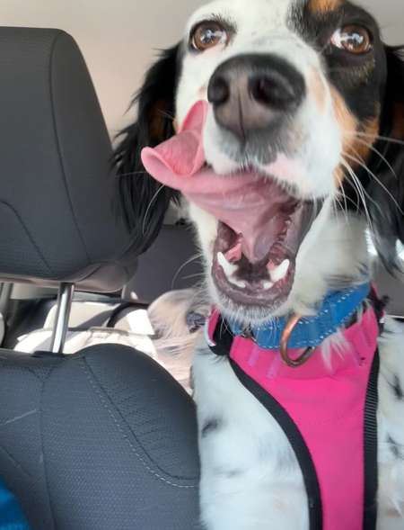 Mia