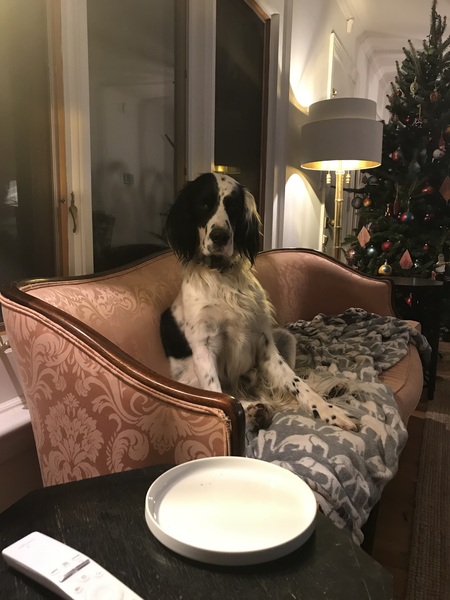 Wally