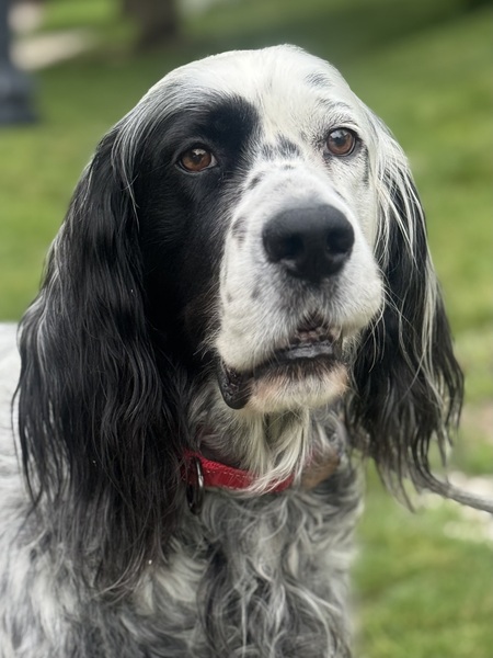 Pete