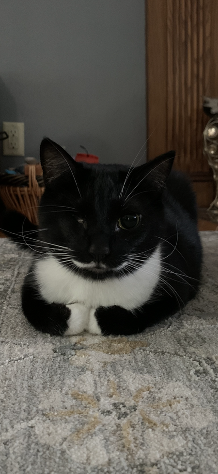 Captain Leela Smalls