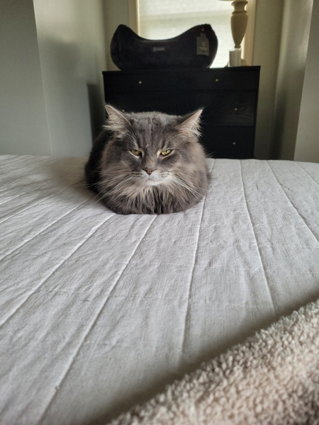 Linus