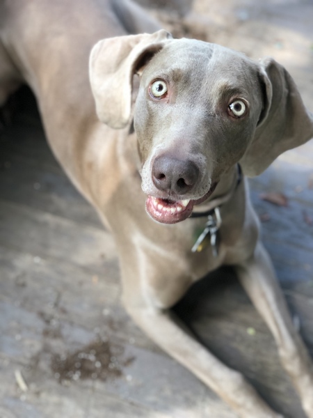 Gwen