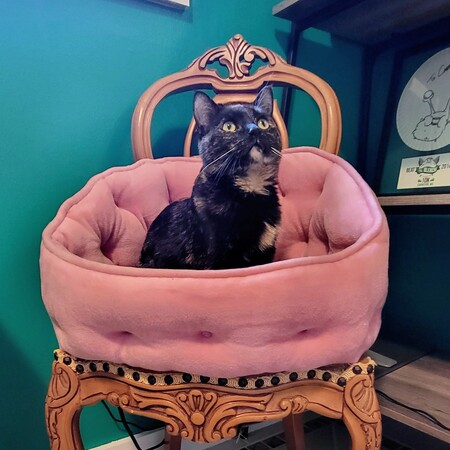 Princess Fanny