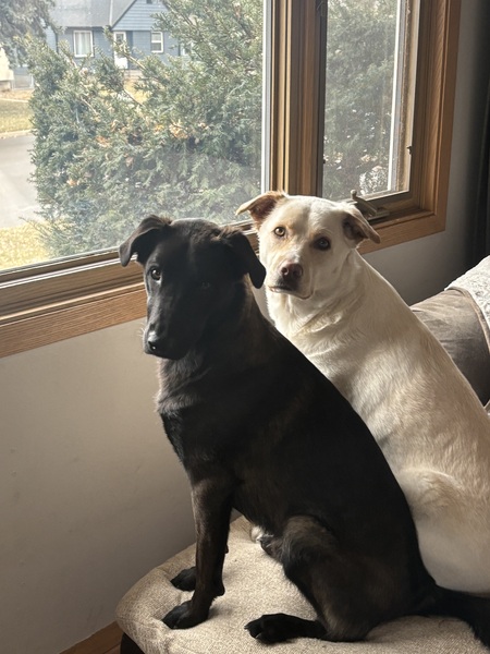 Mose & Bella