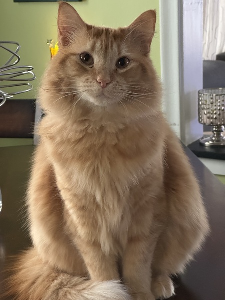 Ben