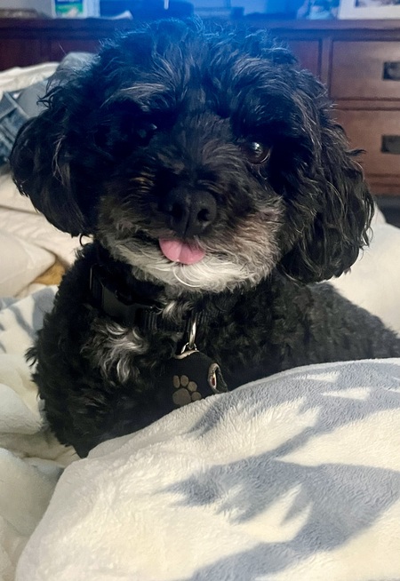 Charlie