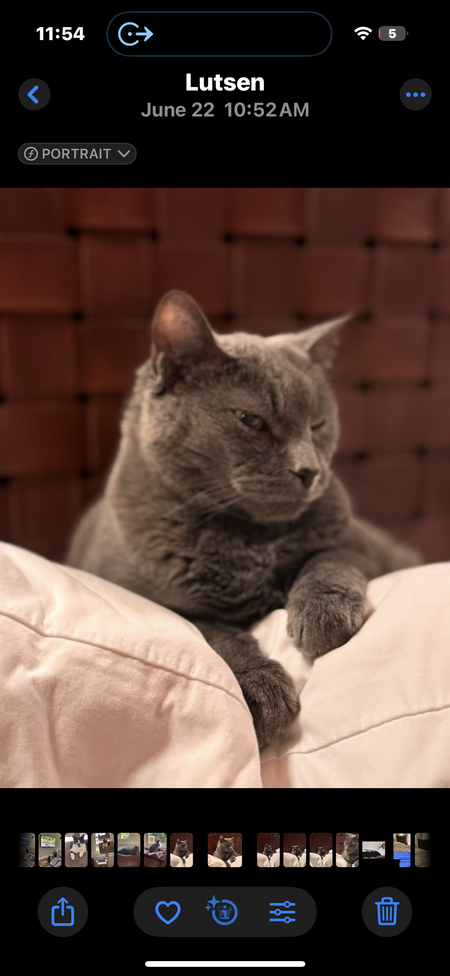 Gus