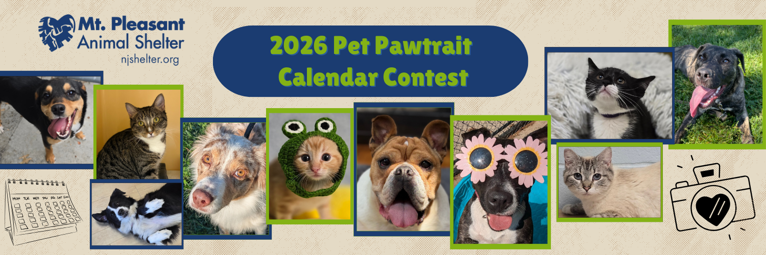 Banner for Mt. Pleasant Animal Shelter 2026 Pet Pawtrait Calendar Photo Contest