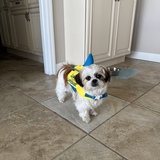 Entry image for Essy Mae