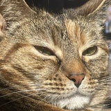 Entry image for Sabrina