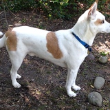 Entry image for Poseidon