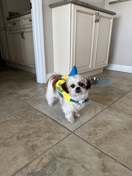 Entry image for Essy Mae. Clicking this image will show a larger photo