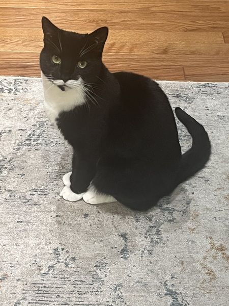 Entry image for Captain. Clicking this image will show a larger photo