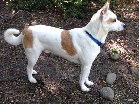 Entry image for Poseidon. Clicking this image will show a larger photo